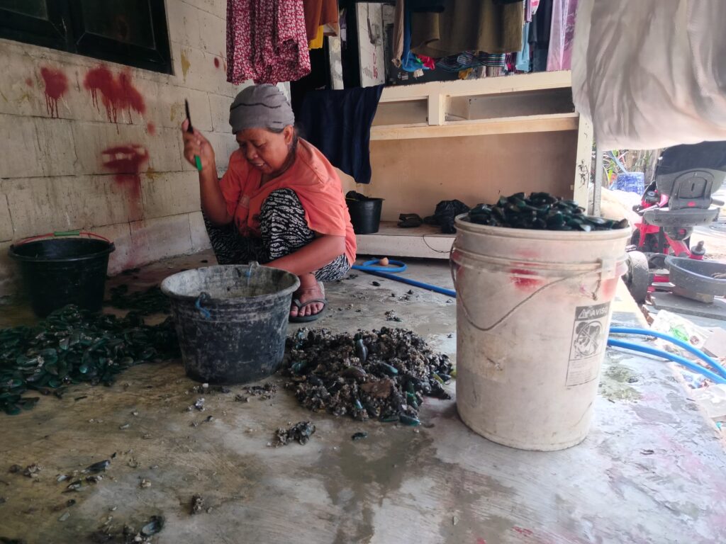 Riyanti (52) sedang membersihkan kerang hijau untuk dijual, (Sabtu, 31/05/25) [Retno/BP2M]
